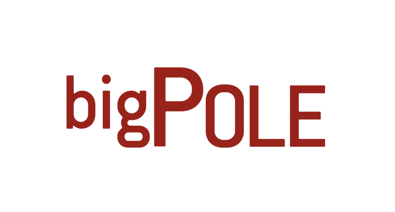 bigpole logo